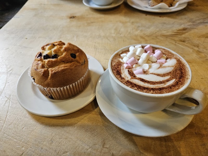 Black Medicine Coffee Co